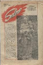 salvo